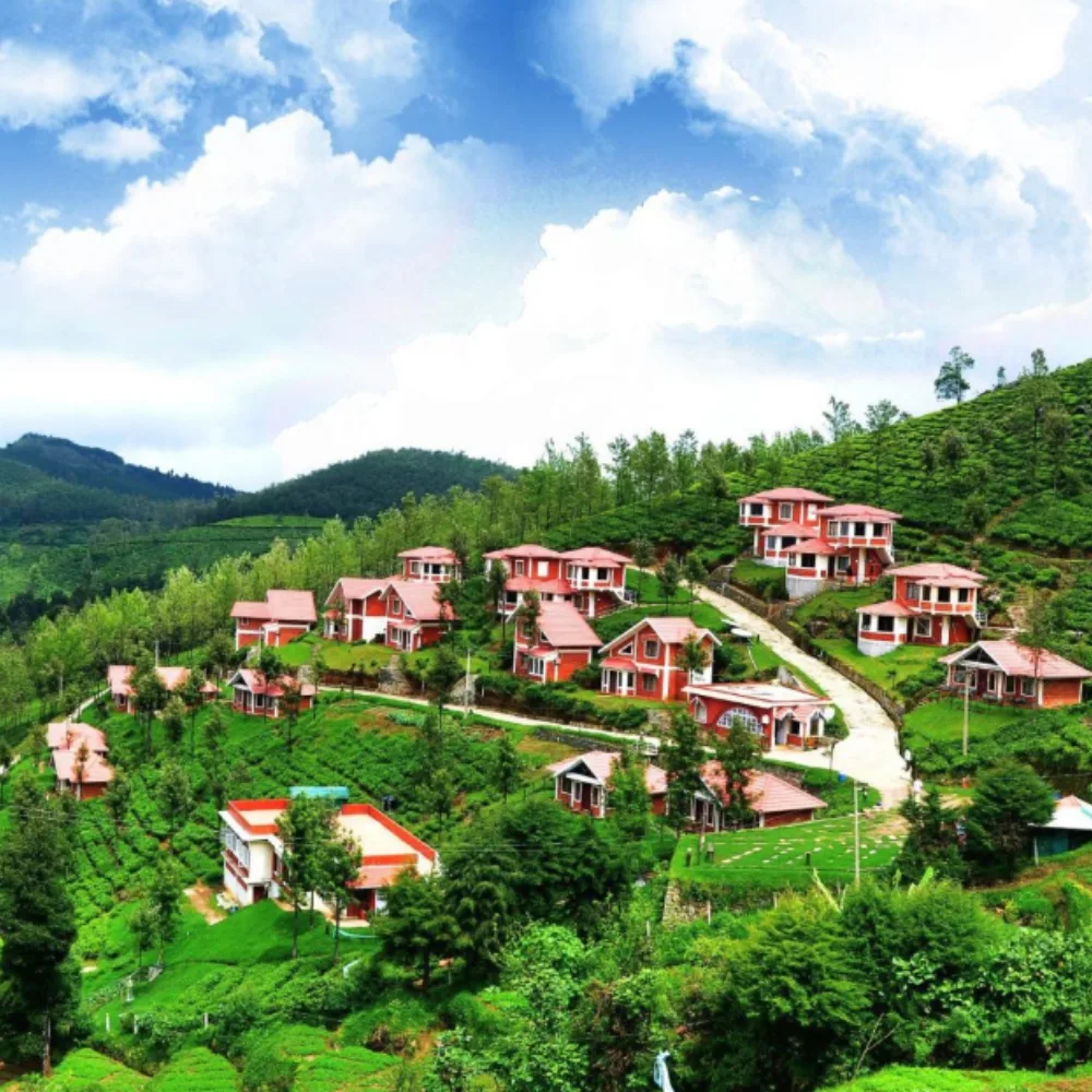 Ooty & Coonoor: Queen of Hills