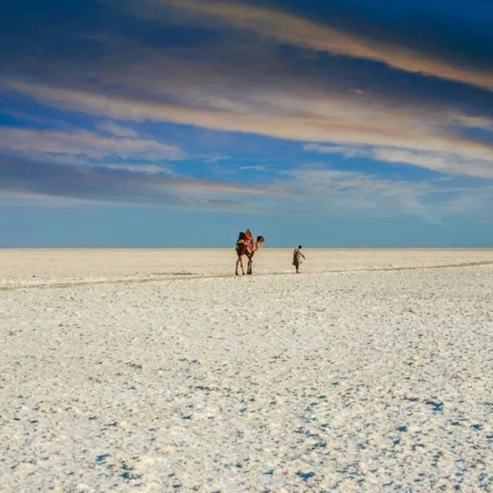 Rann of Kutch: The White Desert