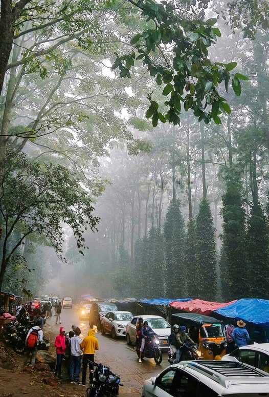Araku Valley Expedition