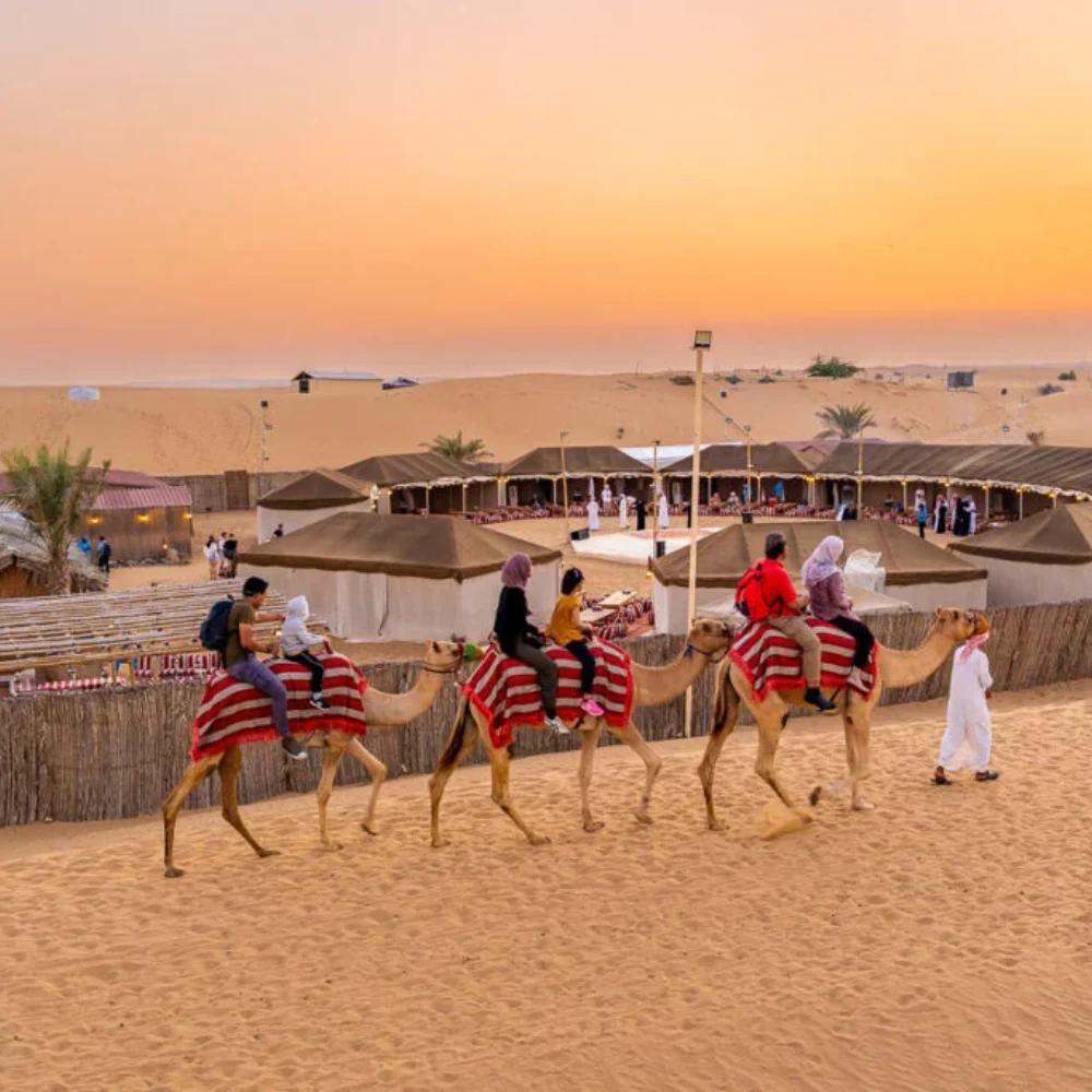 Dubai Luxury & Desert Safari