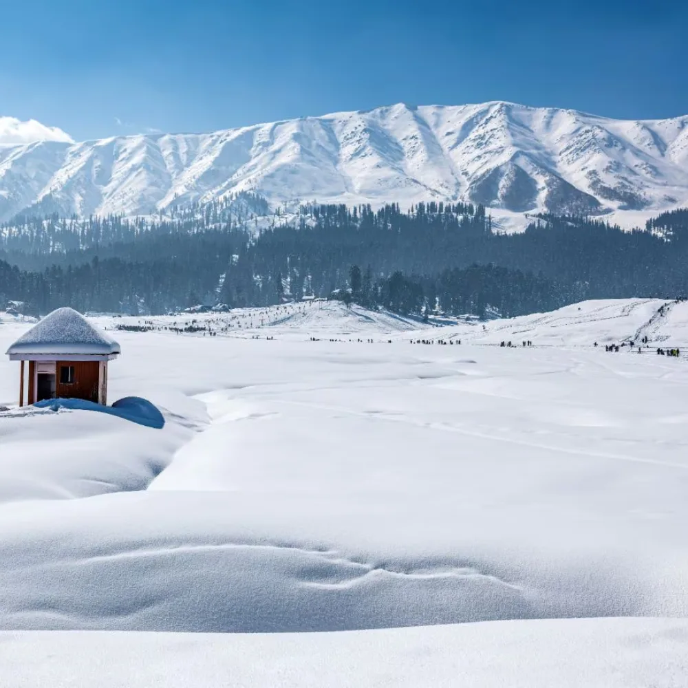 Kashmir