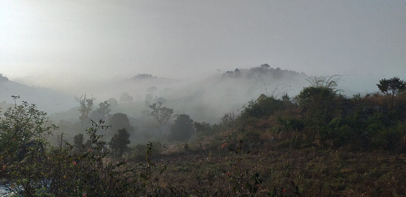 Lambasingi