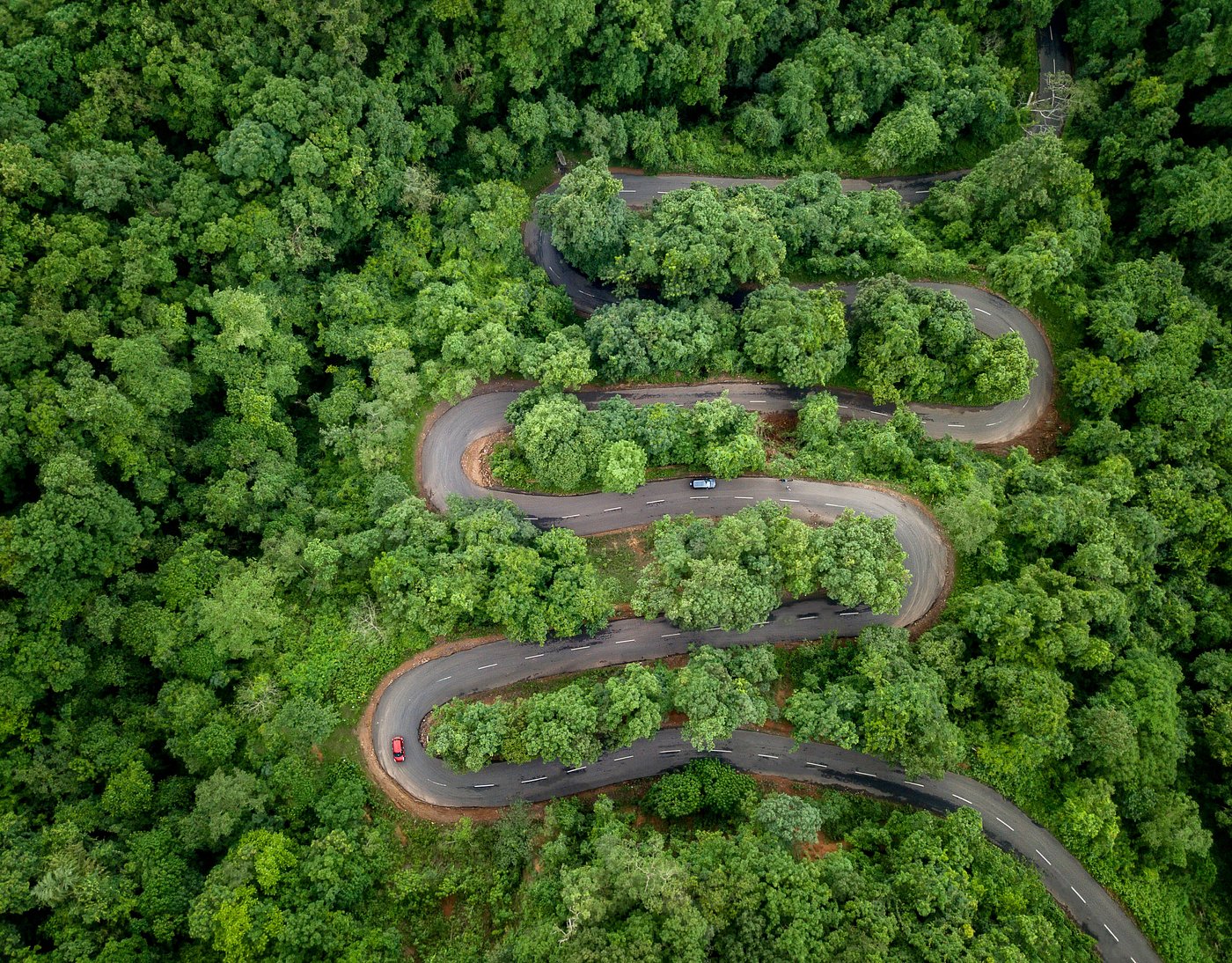 Maredumilli Jungle Eco-Resort Stay