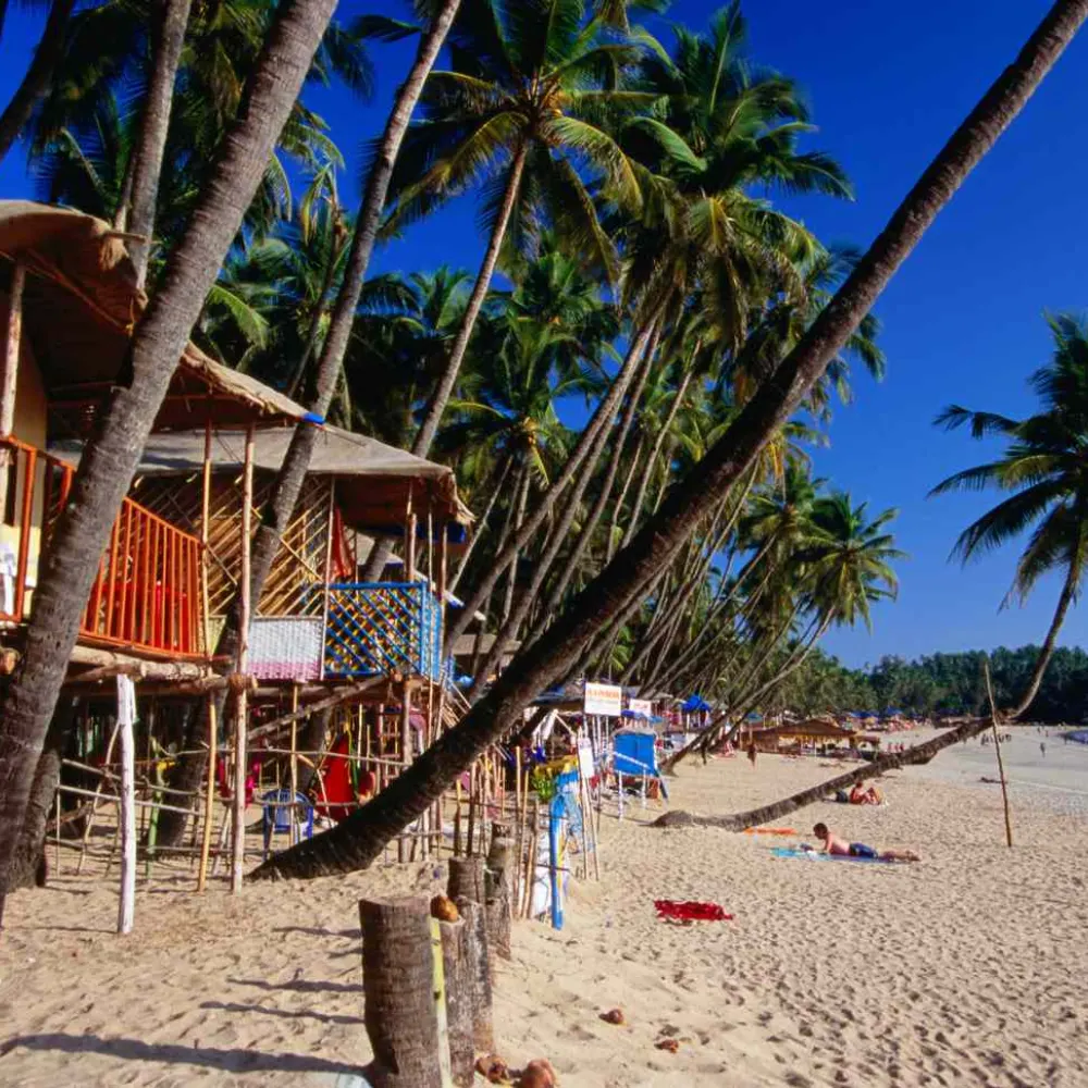 South Goa Wellness Retreat